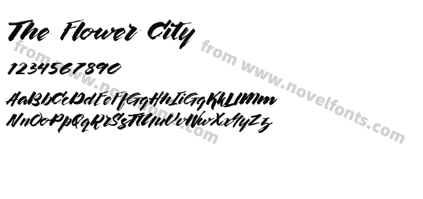The Flower CityPreview