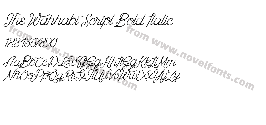 The Wahhabi Script Bold ItalicPreview