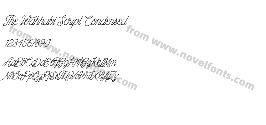 The Wahhabi Script CondensedPreview