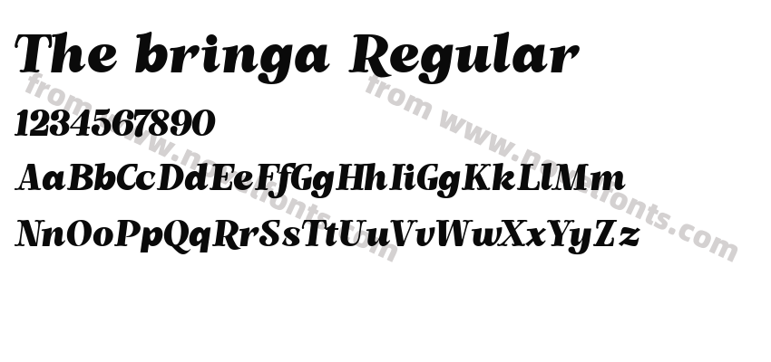 The bringa RegularPreview