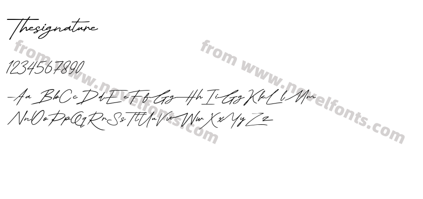 ThesignaturePreview