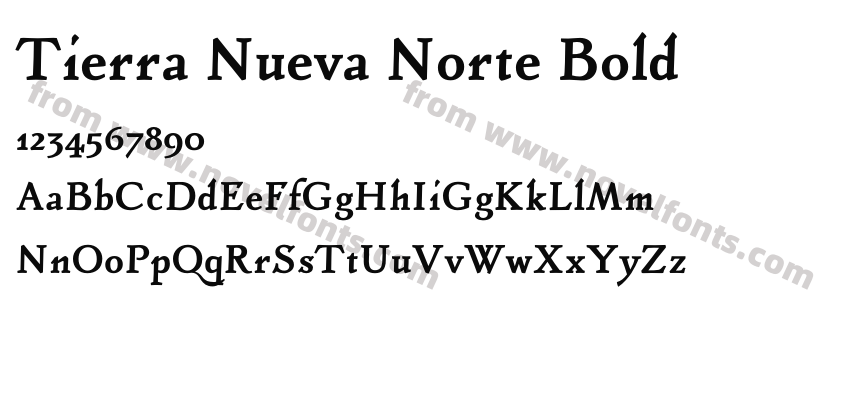 Tierra Nueva Norte BoldPreview
