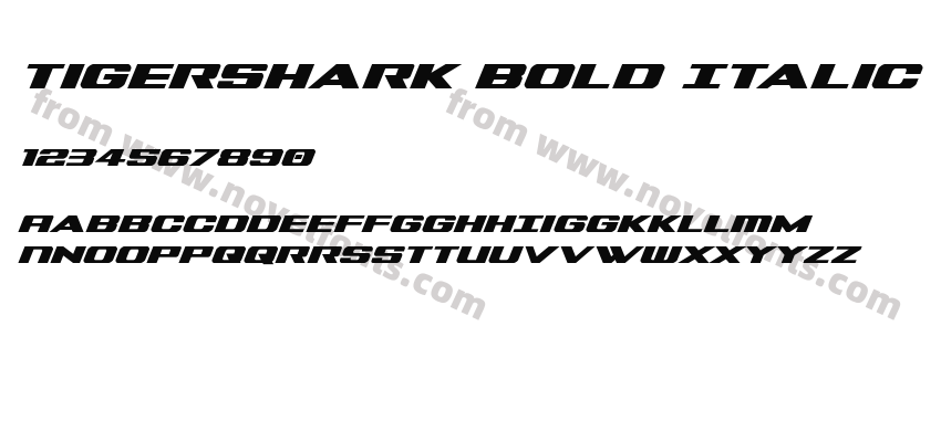 Tigershark Bold ItalicPreview