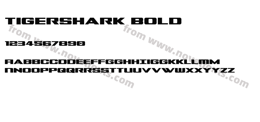 Tigershark BoldPreview