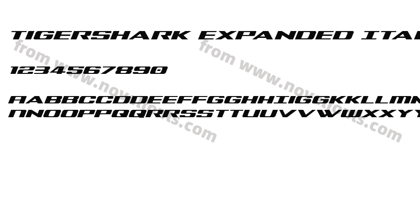 Tigershark Expanded ItalicPreview