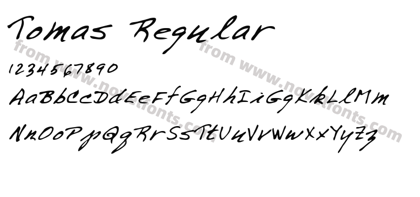 Tomas RegularPreview