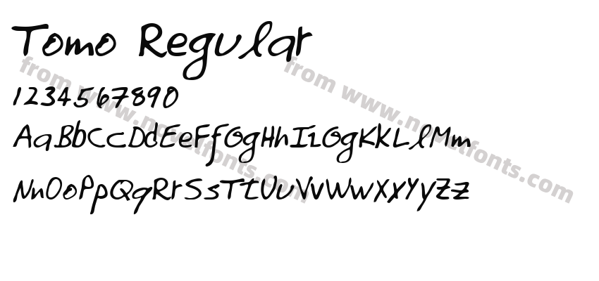 Tomo RegularPreview