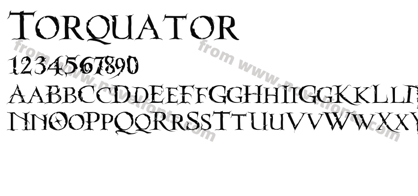 TorquatorPreview
