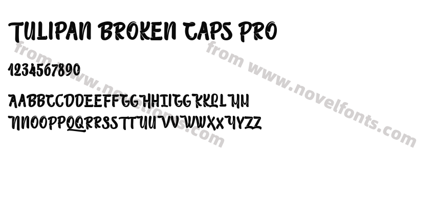 Tulipan Broken Caps ProPreview