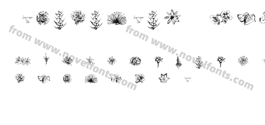 Tupiniquim FloraPreview