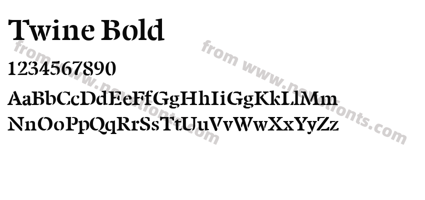Twine BoldPreview