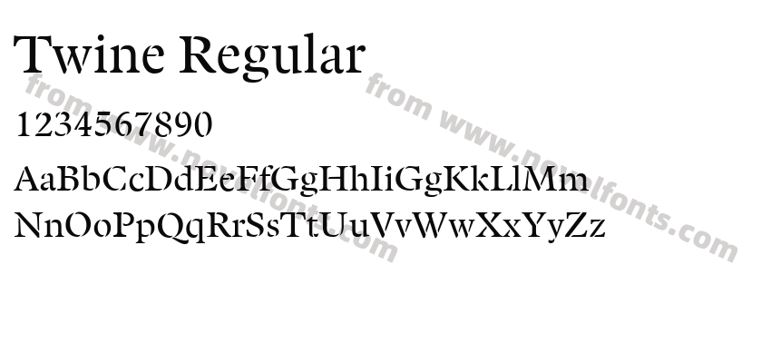 Twine RegularPreview