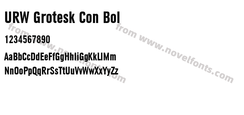 URW Grotesk Con BolPreview