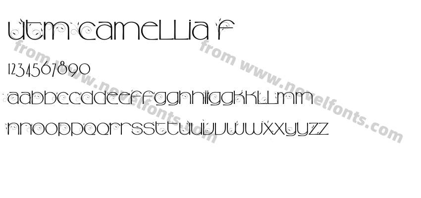 UTM Camellia FPreview