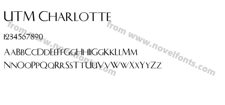 UTM CharlottePreview