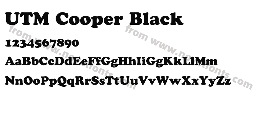 UTM Cooper BlackPreview