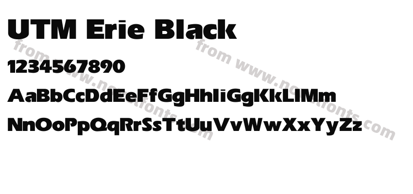 UTM Erie BlackPreview