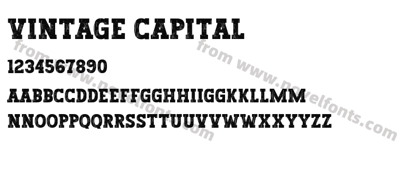 Vintage CapitalPreview