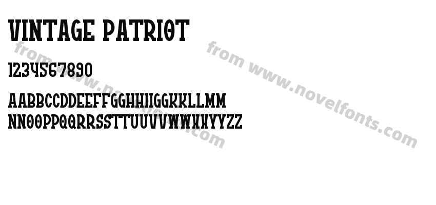 Vintage PatriotPreview