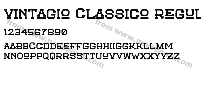 Vintagio Classico RegularPreview