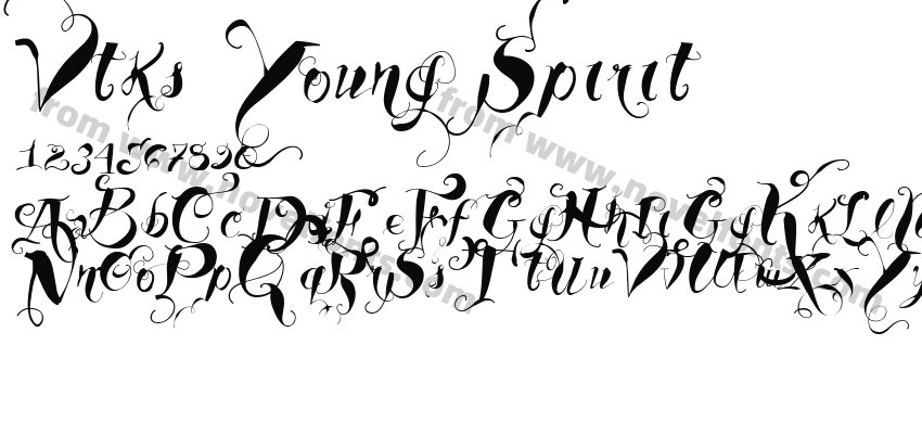 Vtks Young SpiritPreview