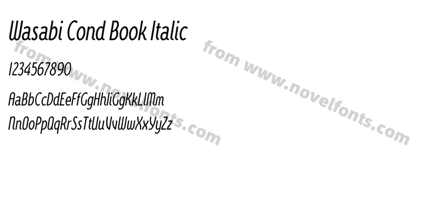 Wasabi Cond Book ItalicPreview