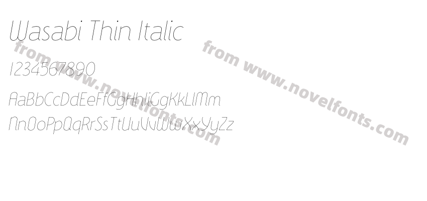 Wasabi Thin ItalicPreview