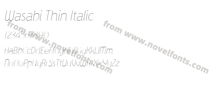 Wasabi Thin ItalicPreview