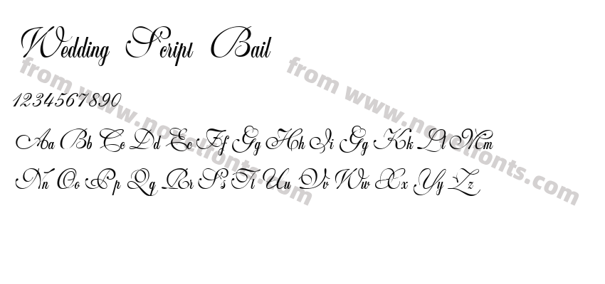 Wedding Script BailPreview