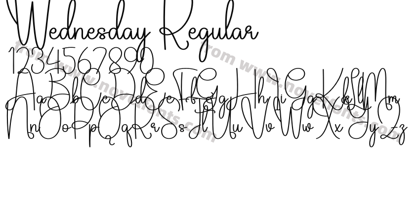 Wednesday RegularPreview