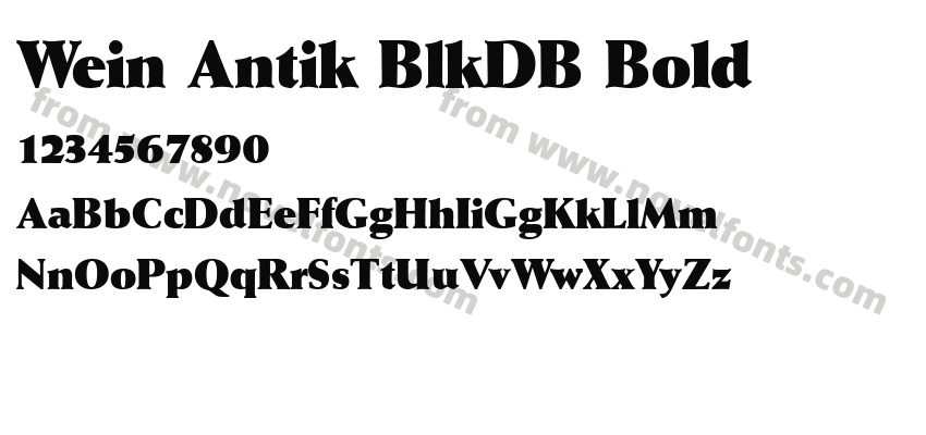 Wein Antik BlkDB BoldPreview