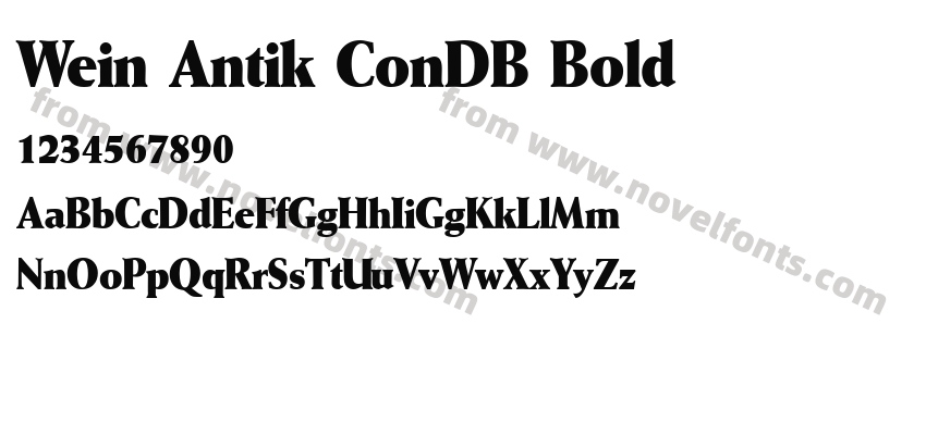 Wein Antik ConDB BoldPreview