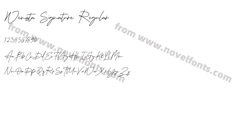 Wenista Signature RegularPreview