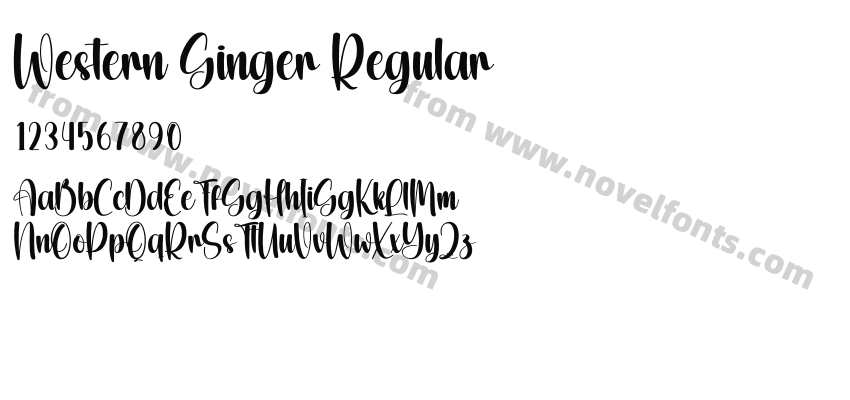 Western Ginger RegularPreview