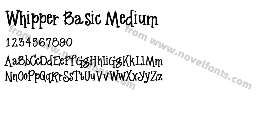 Whipper Basic MediumPreview