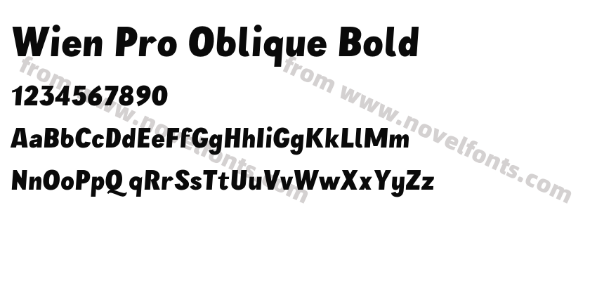 Wien Pro Oblique BoldPreview