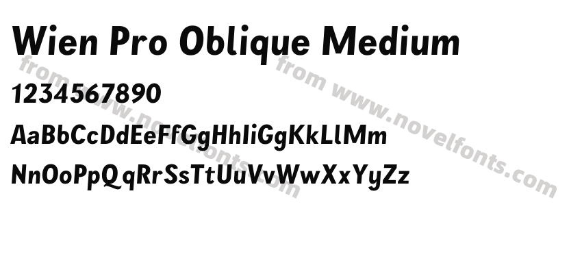 Wien Pro Oblique MediumPreview