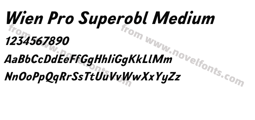 Wien Pro Superobl MediumPreview