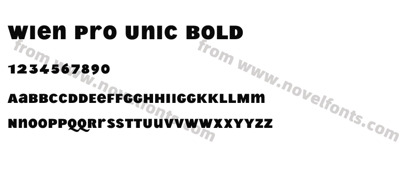 Wien Pro Unic BoldPreview
