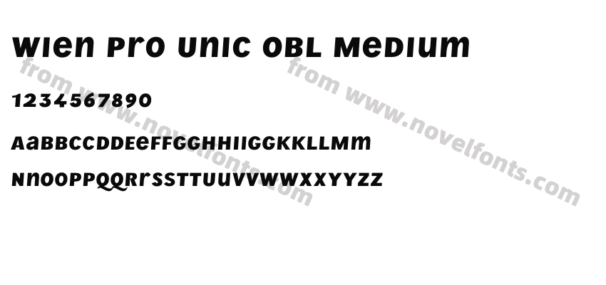 Wien Pro Unic Obl MediumPreview