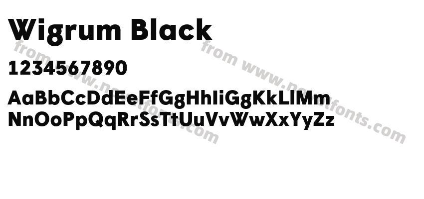 Wigrum BlackPreview