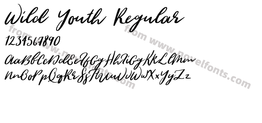 Wild Youth RegularPreview