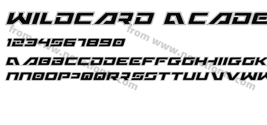 Wildcard Academy ItalicPreview