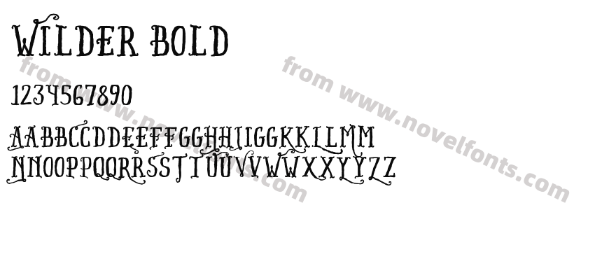 Wilder BoldPreview
