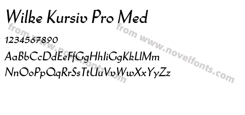 Wilke Kursiv Pro MedPreview