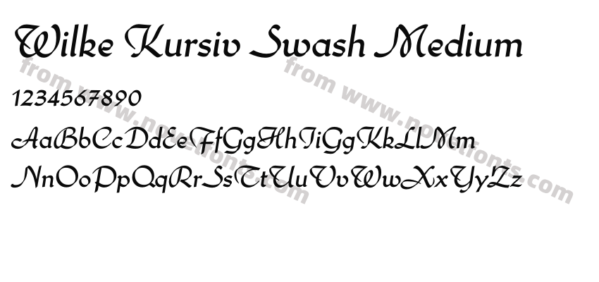 Wilke Kursiv Swash MediumPreview