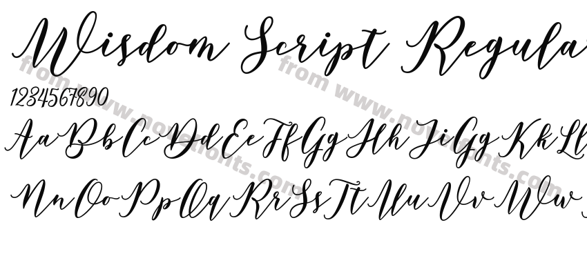 Wisdom Script RegularPreview