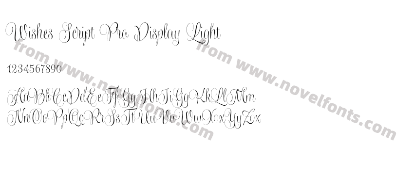 Wishes Script Pro Display LightPreview