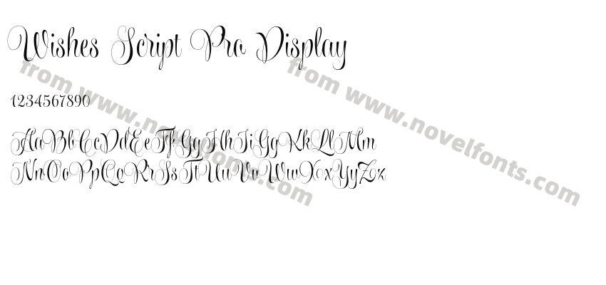 Wishes Script Pro DisplayPreview