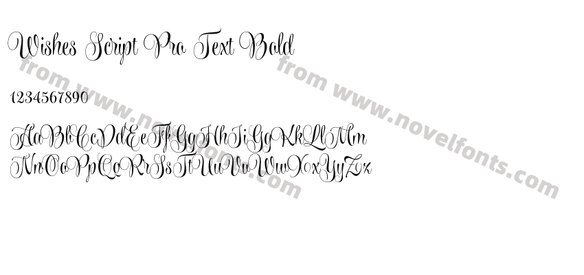 Wishes Script Pro Text BoldPreview